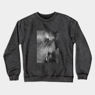 Elephant Crewneck Sweatshirt